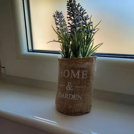 Apartment App Mirela 1 Novi Vinodolski