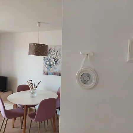 App Mirela 1 Apartment *