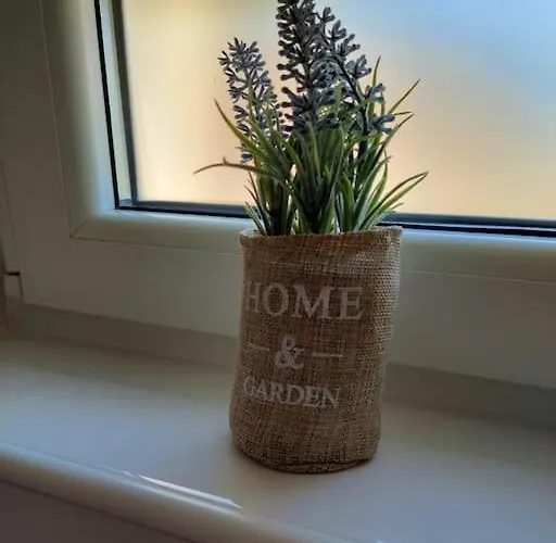 아파트 App Mirela 1 노비비노돌스키