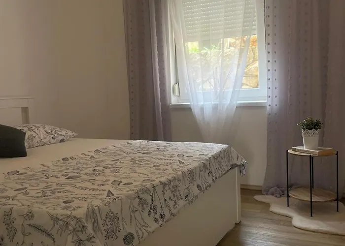 App Mirela 1 노비비노돌스키